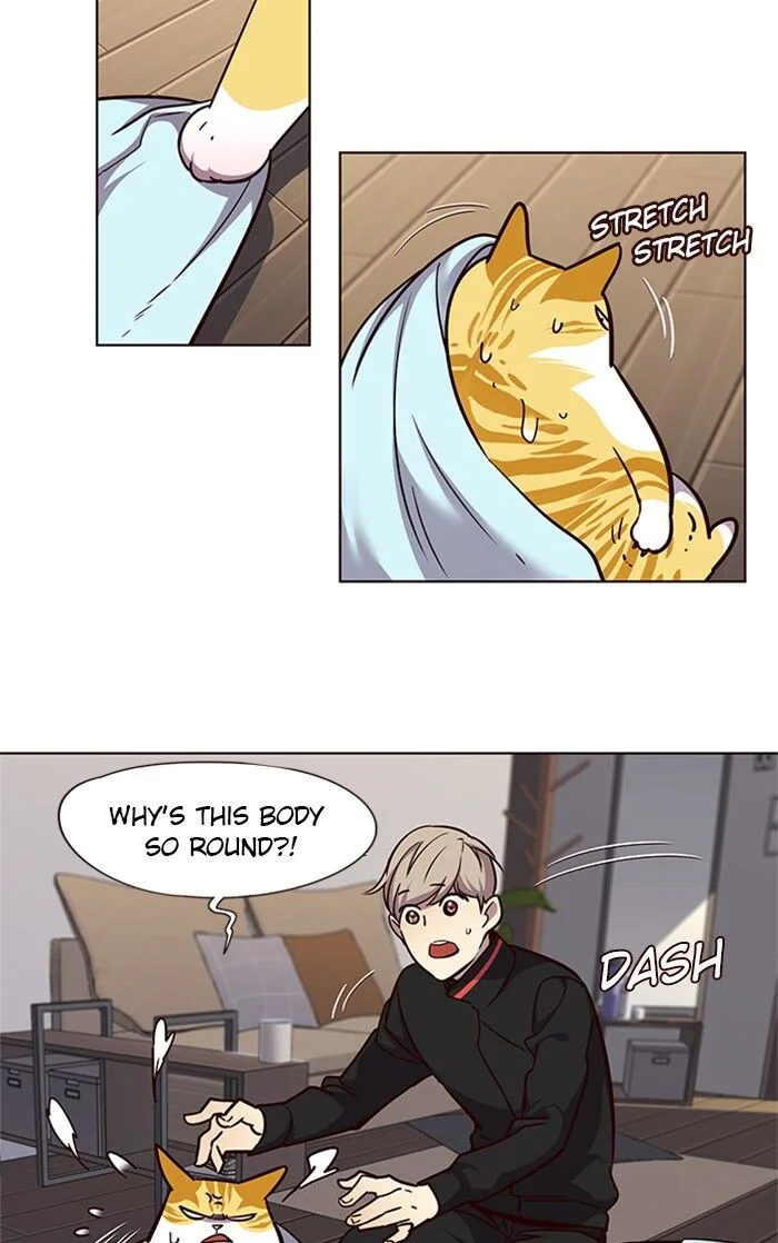 Eleceed (EN) Chapter 47 page 38