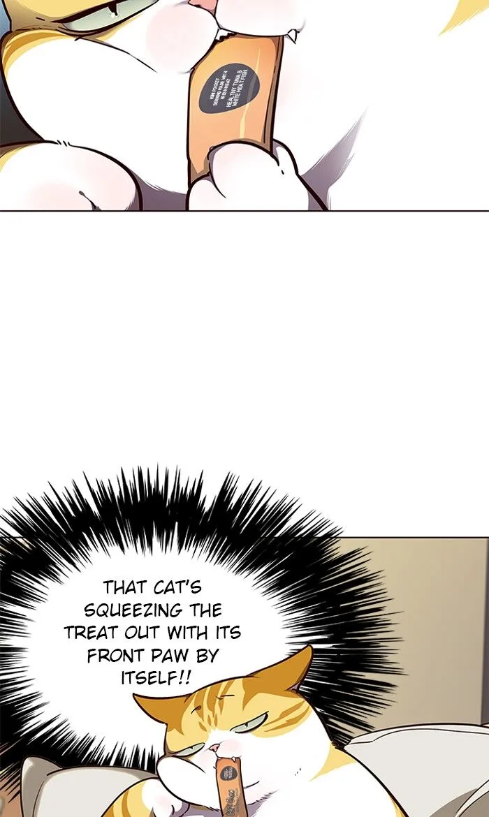Eleceed (EN) Chapter 50 page 7