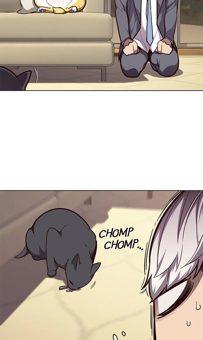 Eleceed (EN) Chapter 50 page 9