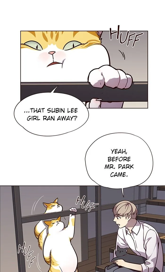 Eleceed (EN) Chapter 51 page 3