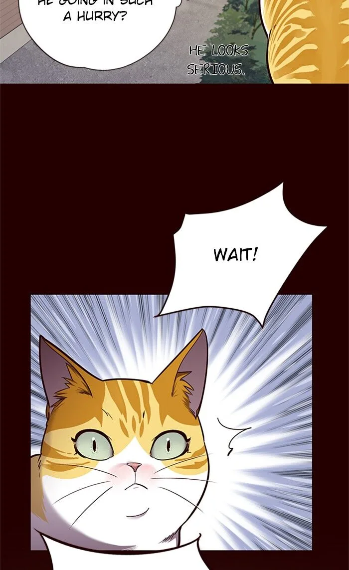 Eleceed (EN) Chapter 52 page 40