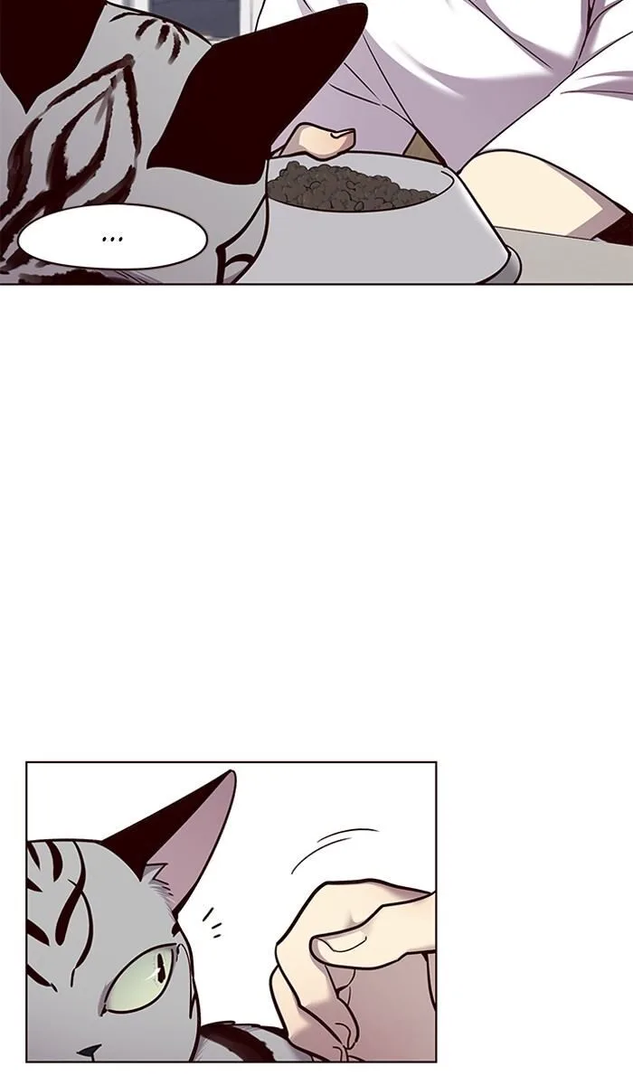 Eleceed (EN) Chapter 55 page 15
