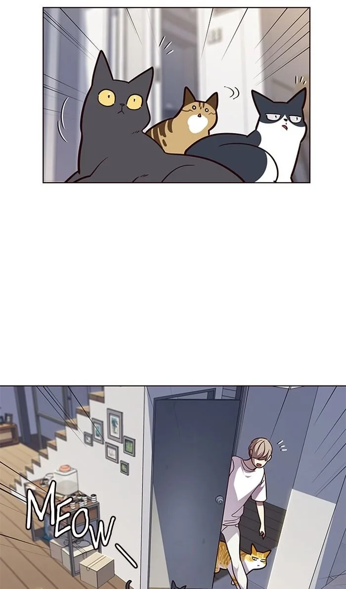 Eleceed (EN) Chapter 55 page 11