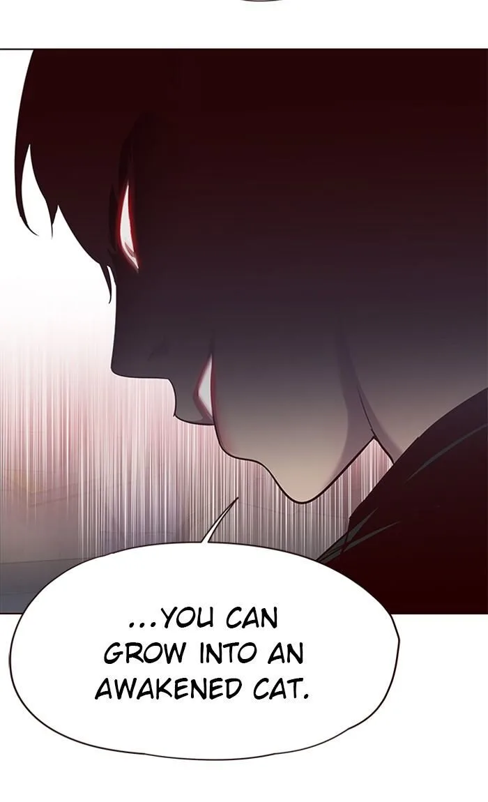 Eleceed (EN) Chapter 55 page 40