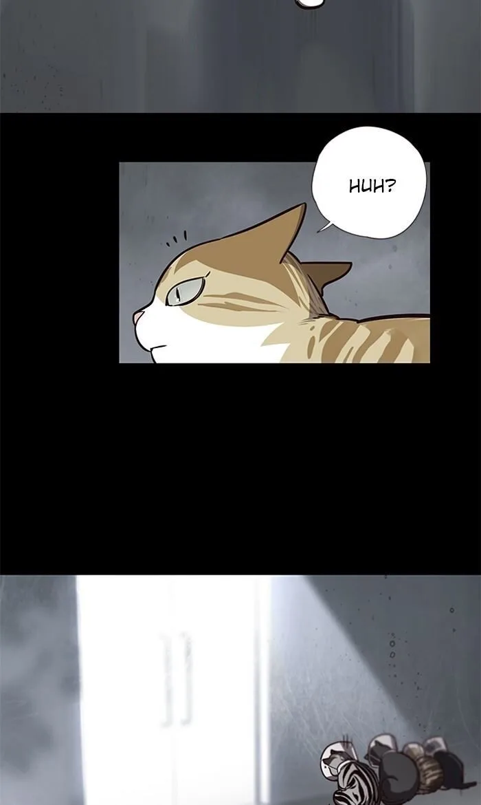 Eleceed (EN) Chapter 56 page 3