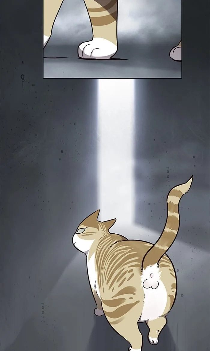 Eleceed (EN) Chapter 56 page 2