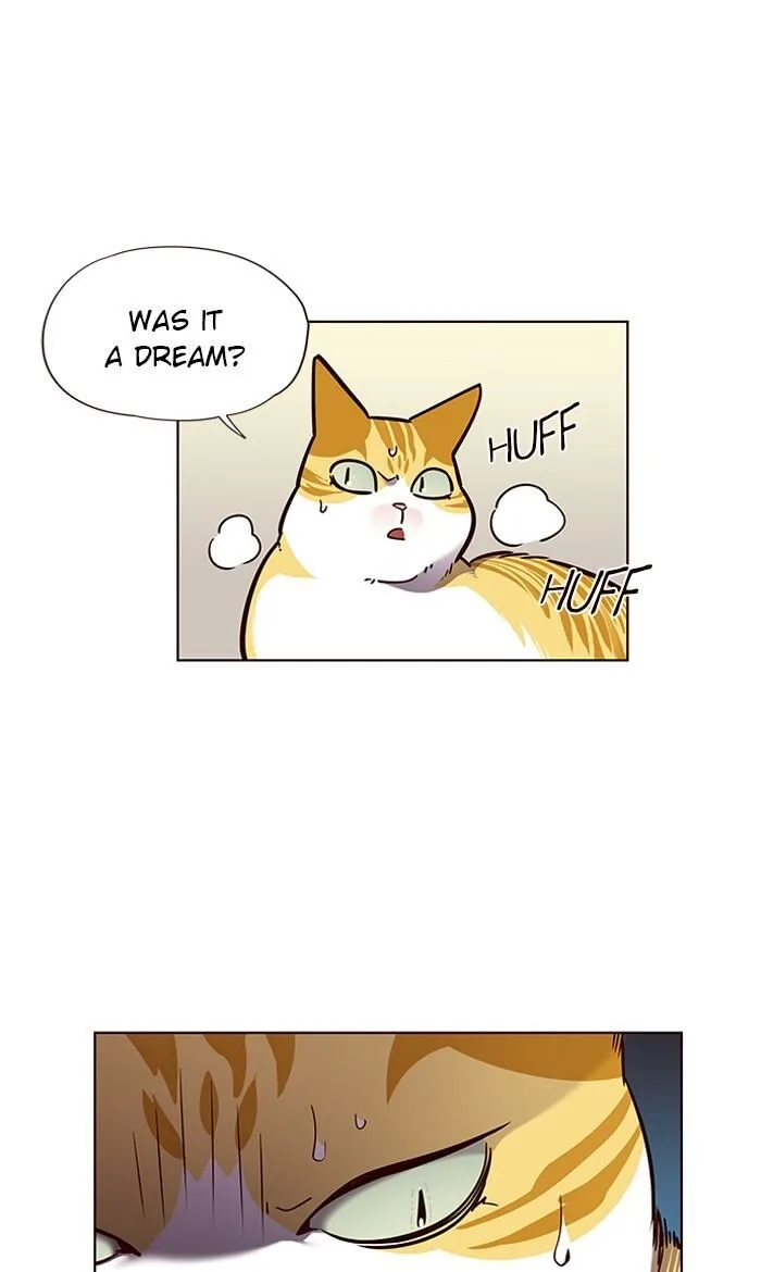 Eleceed (EN) Chapter 56 page 17