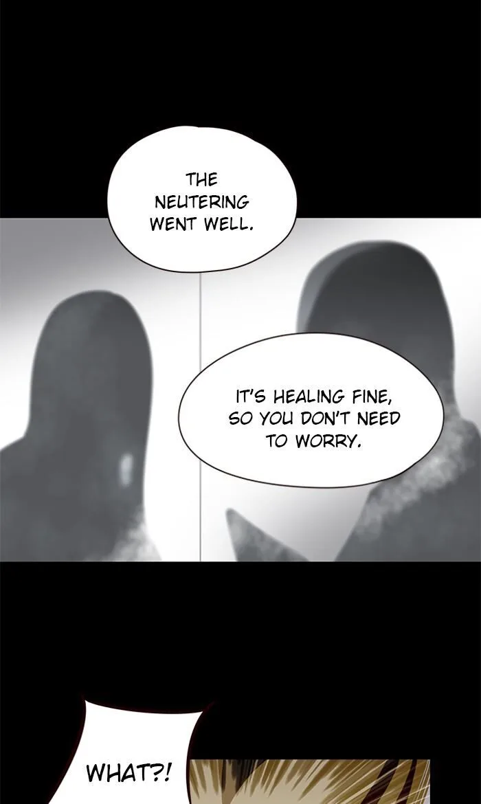 Eleceed (EN) Chapter 56 page 8