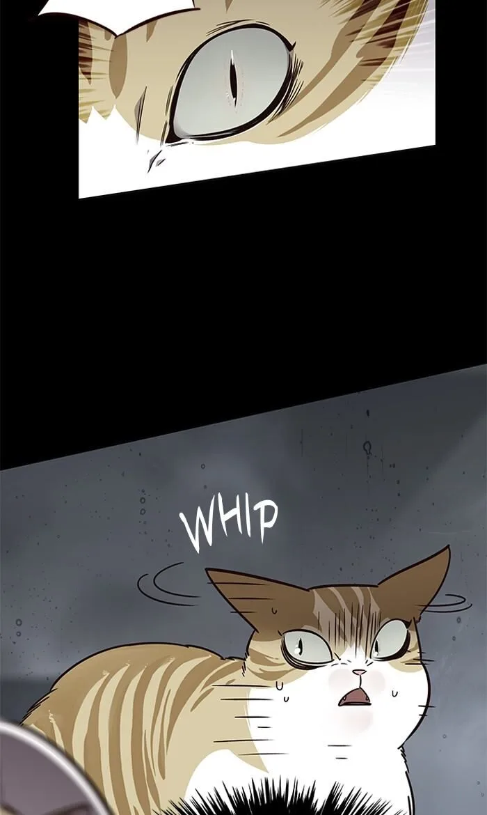 Eleceed (EN) Chapter 56 page 9
