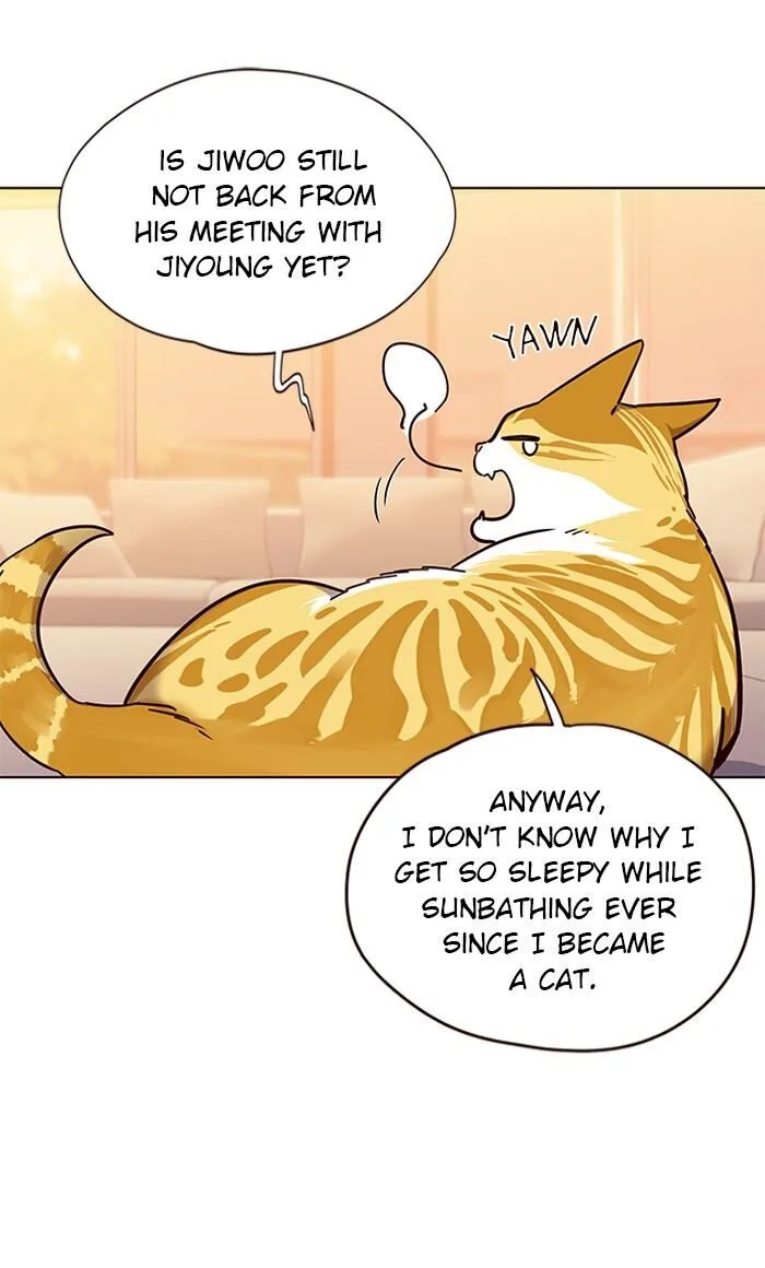Eleceed (EN) Chapter 56 page 20