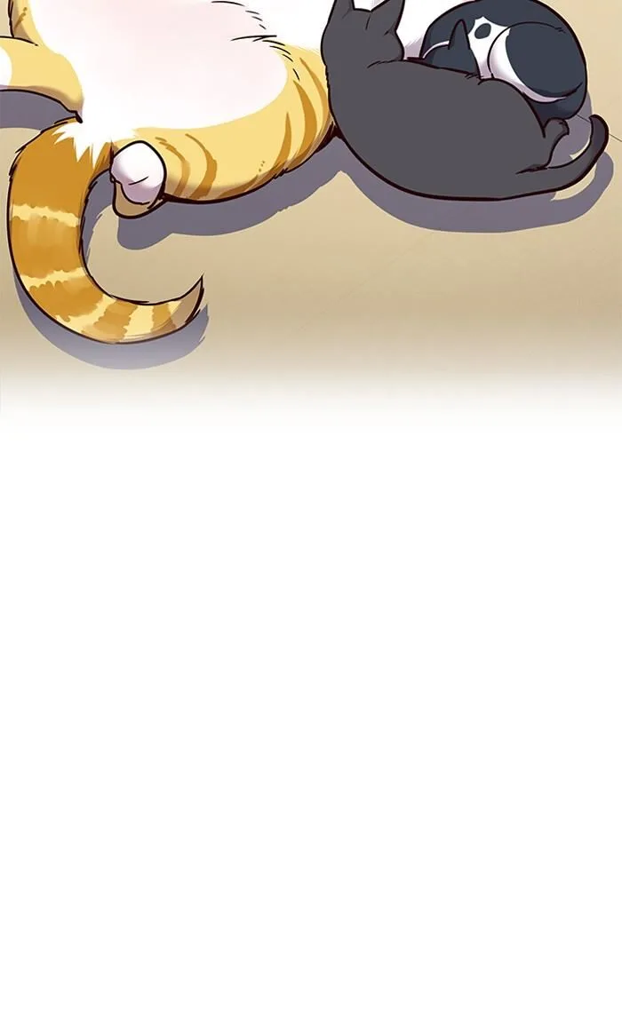 Eleceed (EN) Chapter 56 page 22