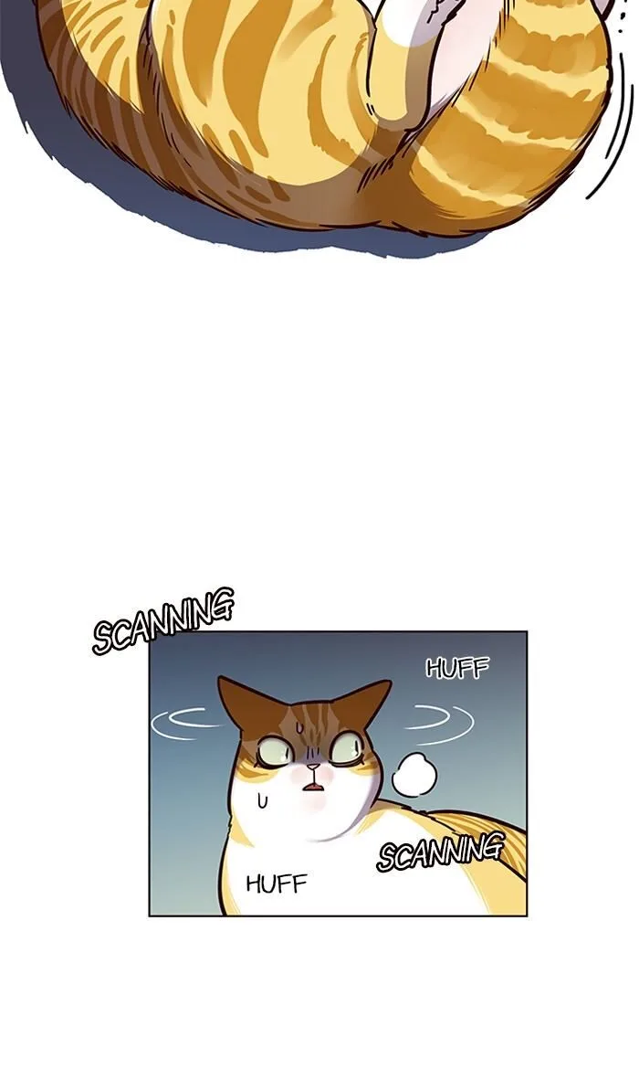 Eleceed (EN) Chapter 56 page 15