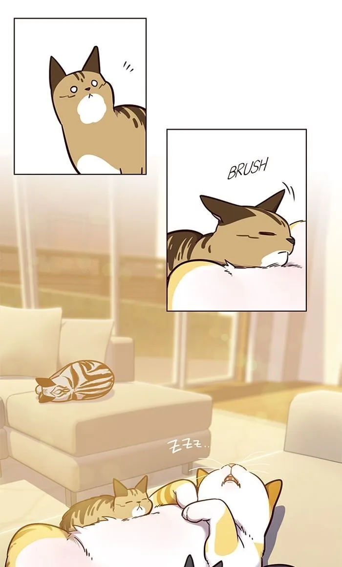 Eleceed (EN) Chapter 56 page 21