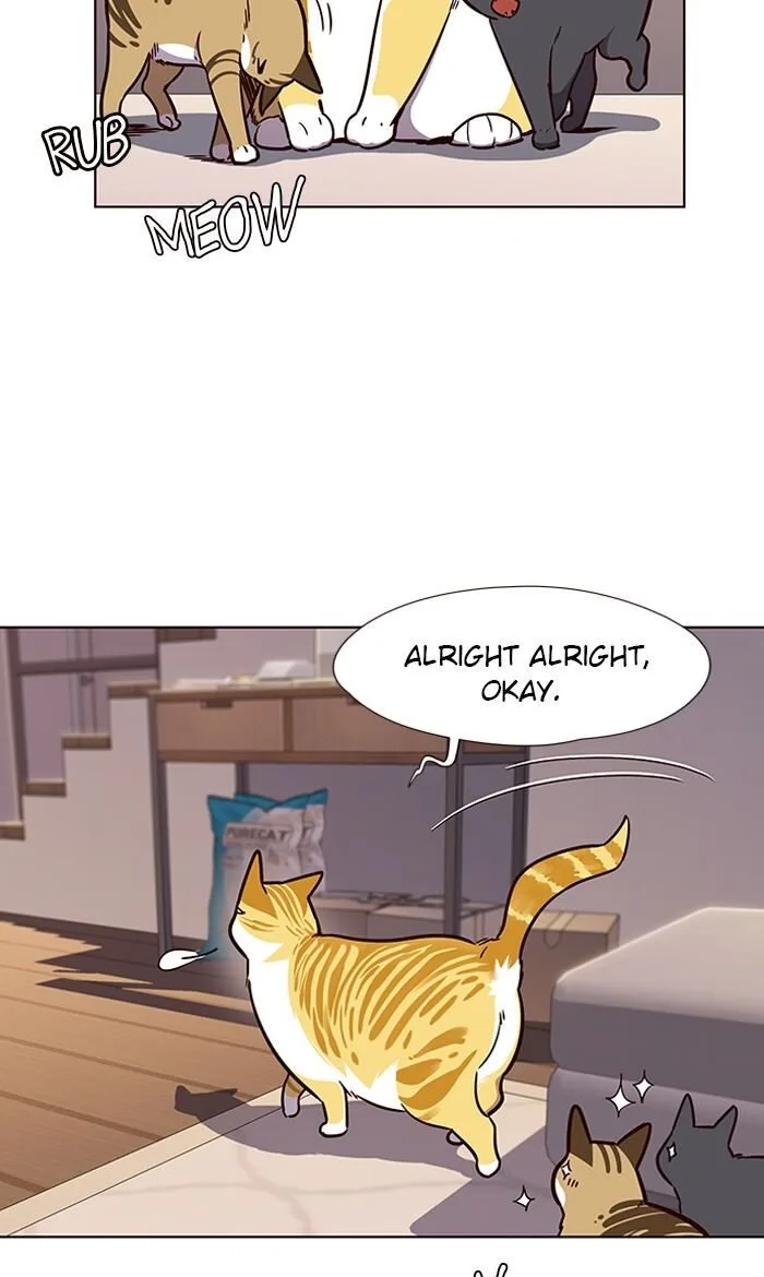 Eleceed (EN) Chapter 56 page 53