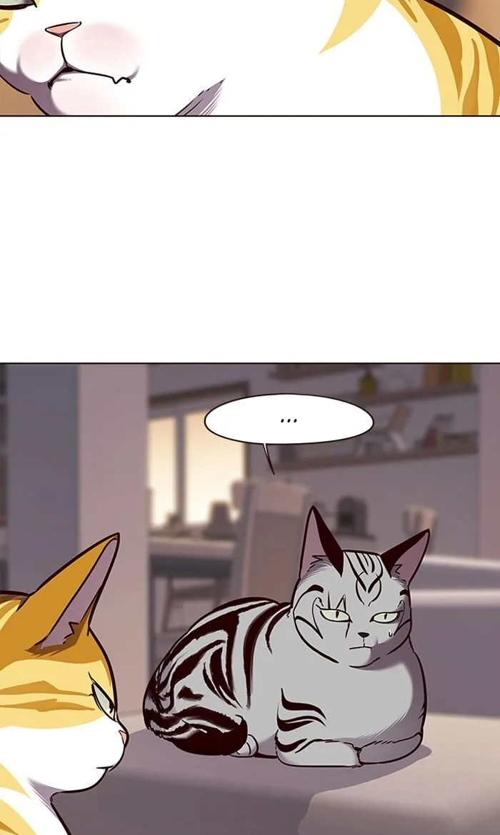Eleceed (EN) Chapter 56 page 57