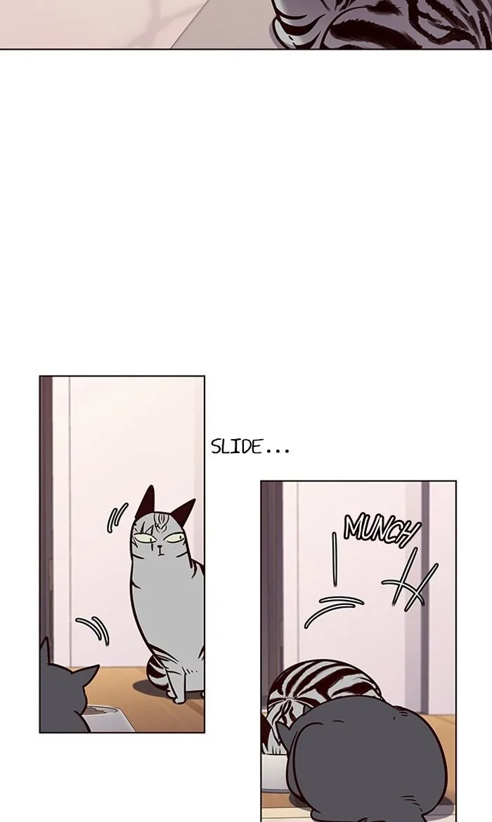 Eleceed (EN) Chapter 56 page 59