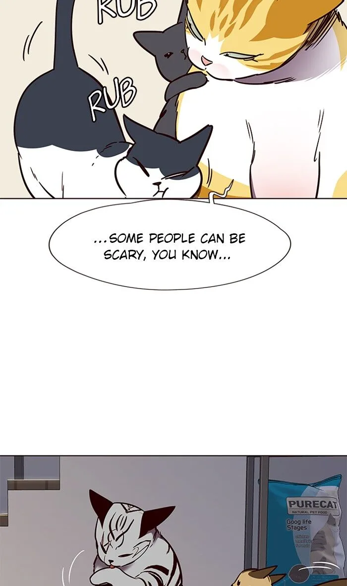 Eleceed (EN) Chapter 58 page 41