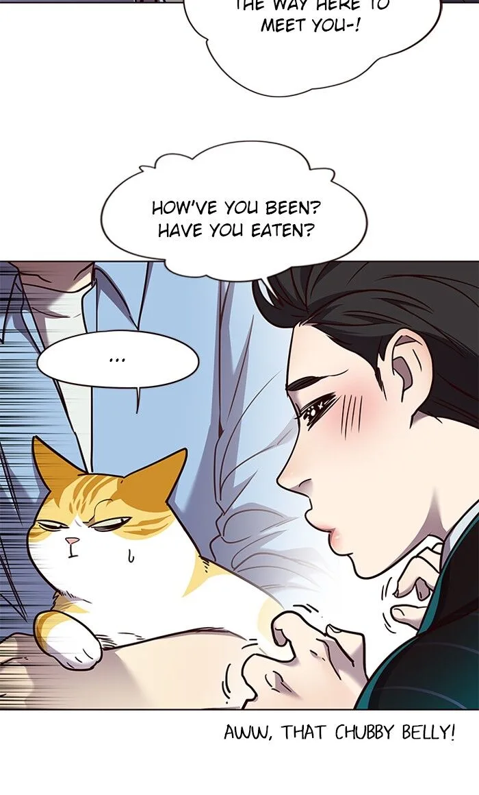 Eleceed (EN) Chapter 62 page 40