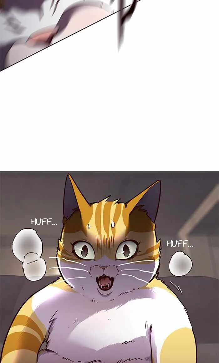 Eleceed (EN) Chapter 65 page 11