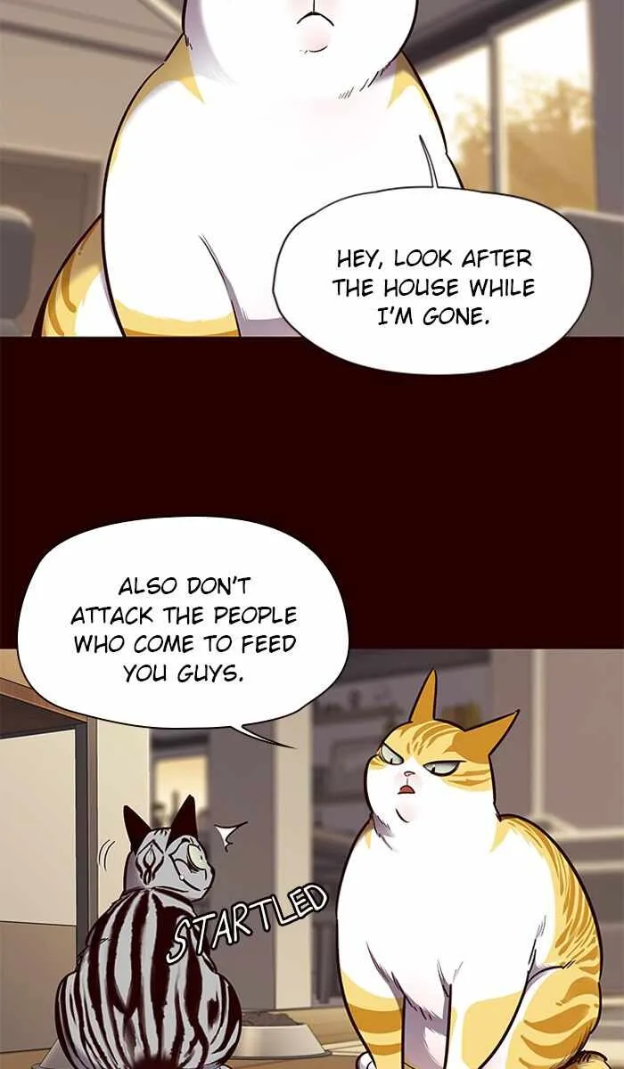 Eleceed (EN) Chapter 67 page 35