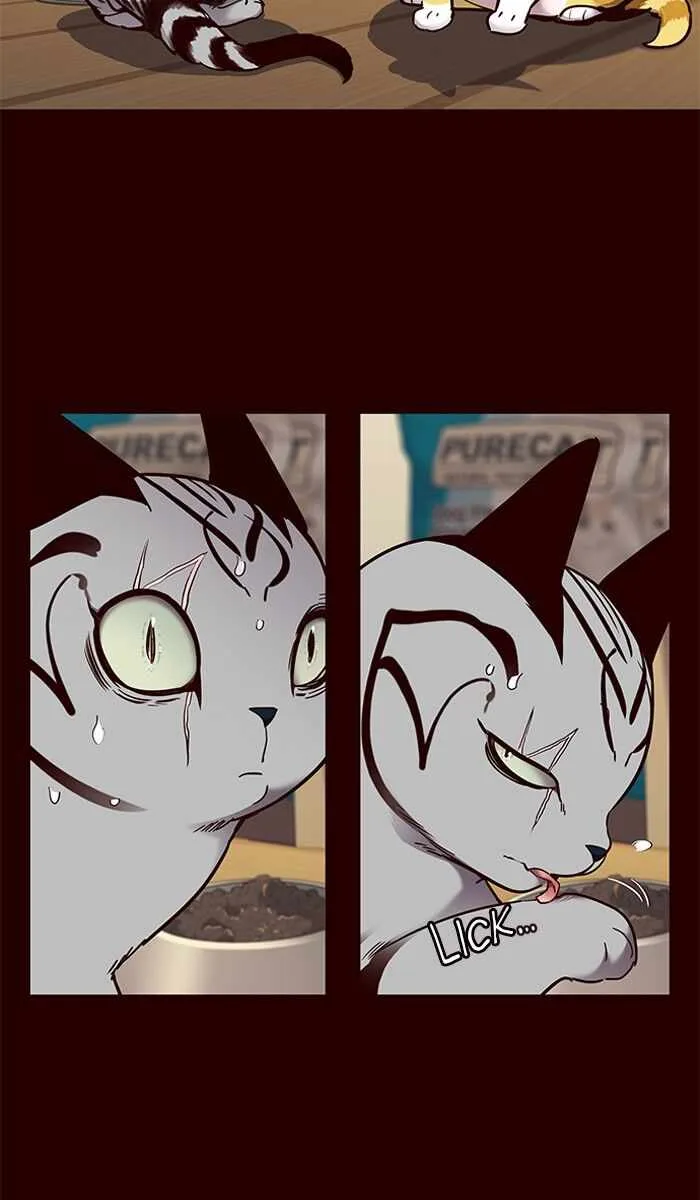 Eleceed (EN) Chapter 67 page 36