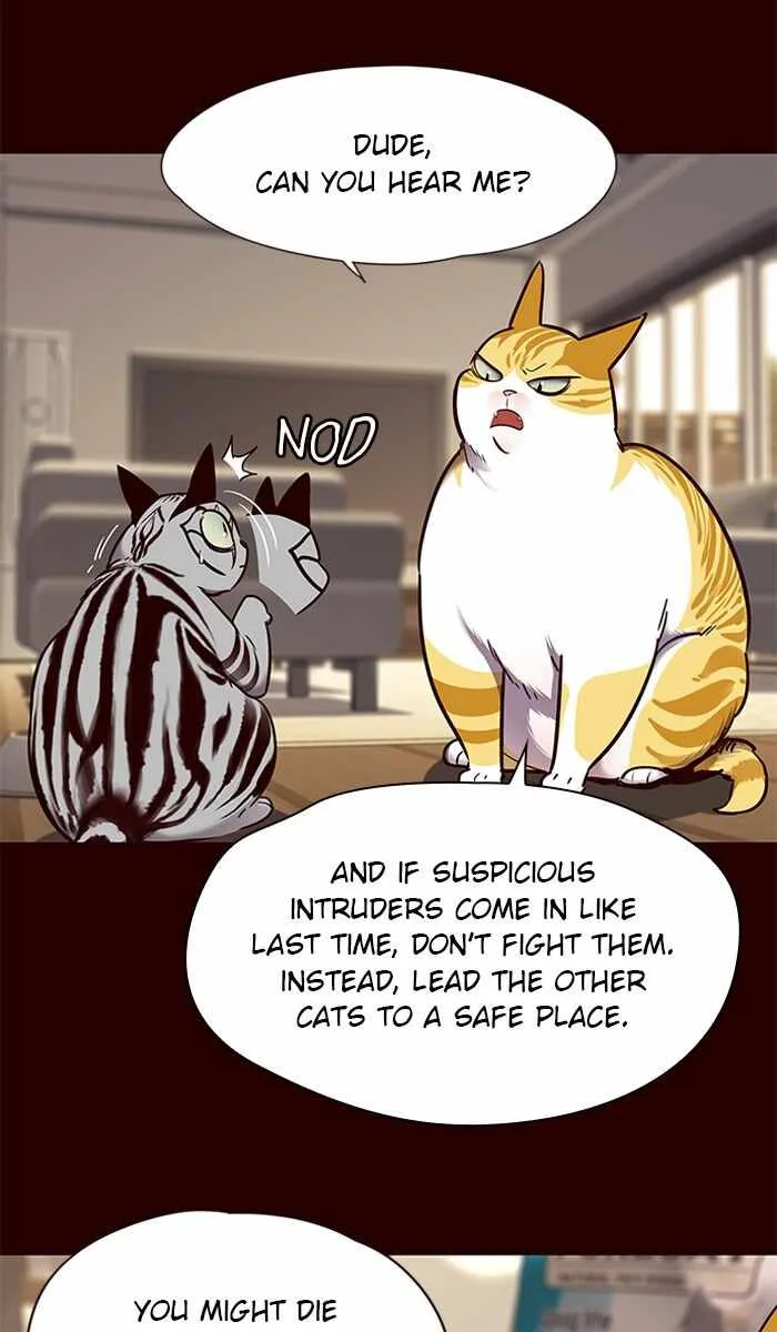 Eleceed (EN) Chapter 67 page 37