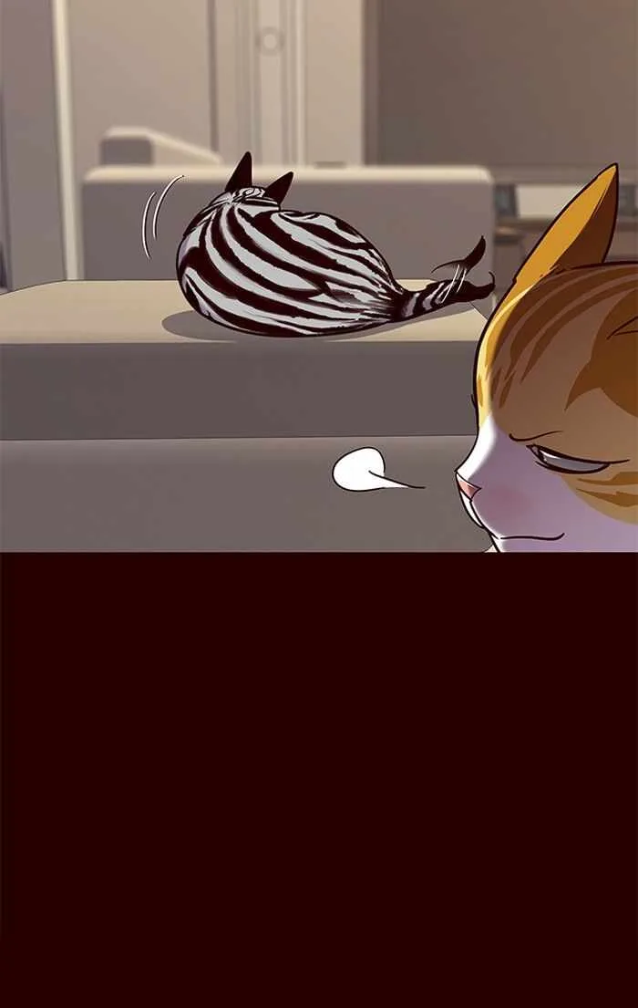 Eleceed (EN) Chapter 67 page 42