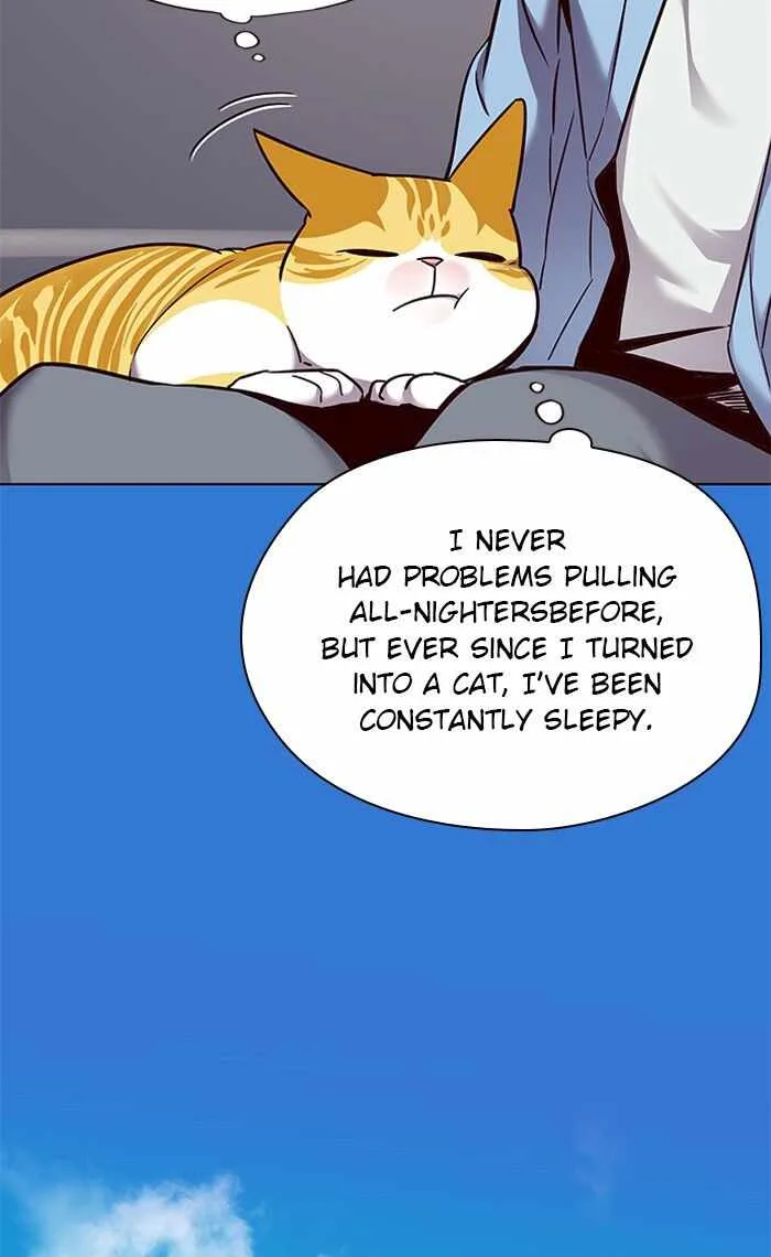 Eleceed (EN) Chapter 67 page 45
