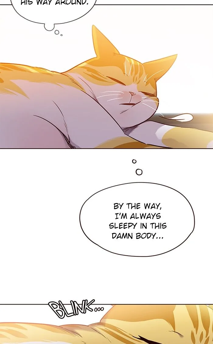 Eleceed (EN) Chapter 70 page 6