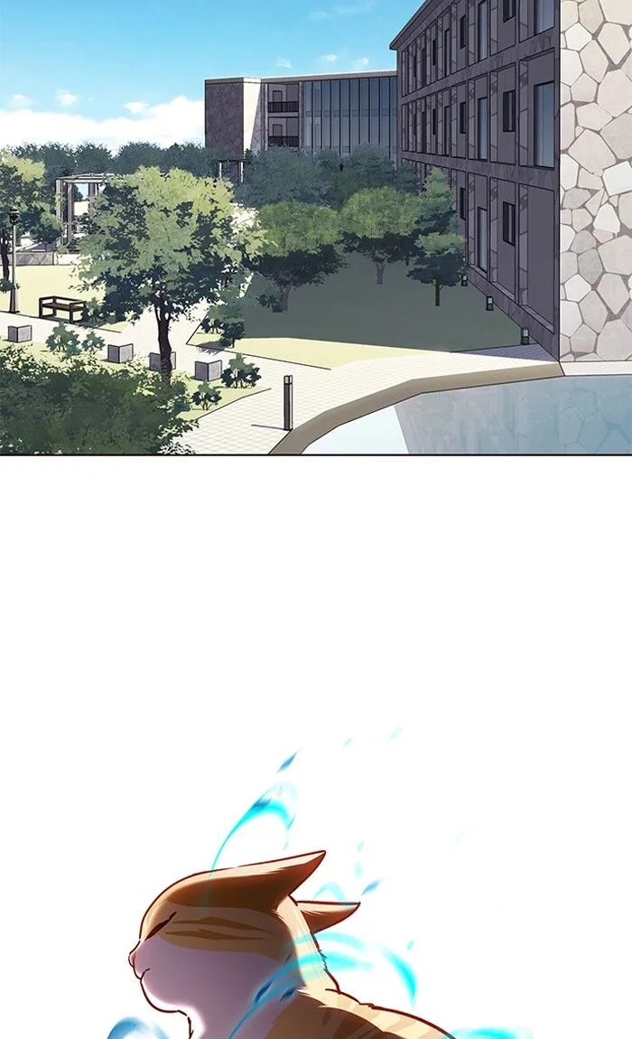Eleceed (EN) Chapter 73 page 19
