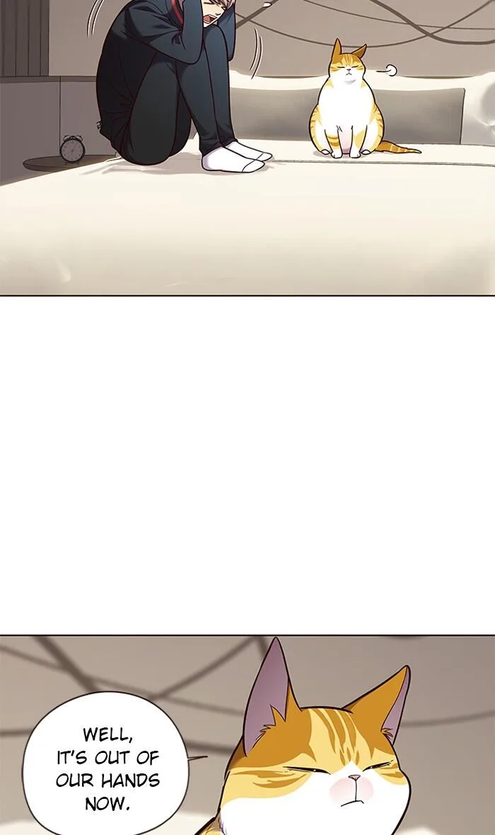 Eleceed (EN) Chapter 82 page 6