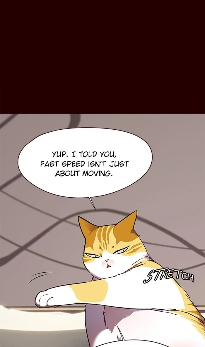 Eleceed (EN) Chapter 87 page 53