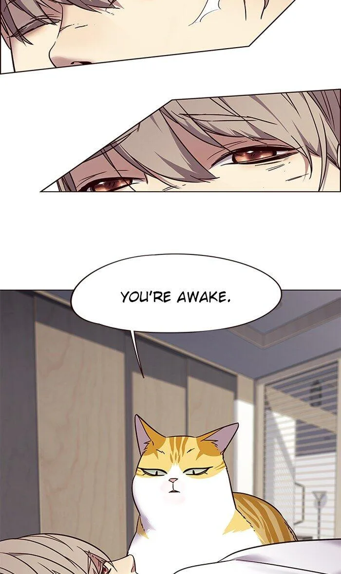 Eleceed (EN) Chapter 88 page 14