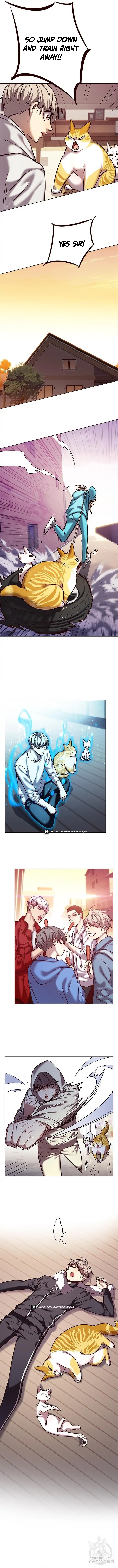 Eleceed Chapter 239 page 10