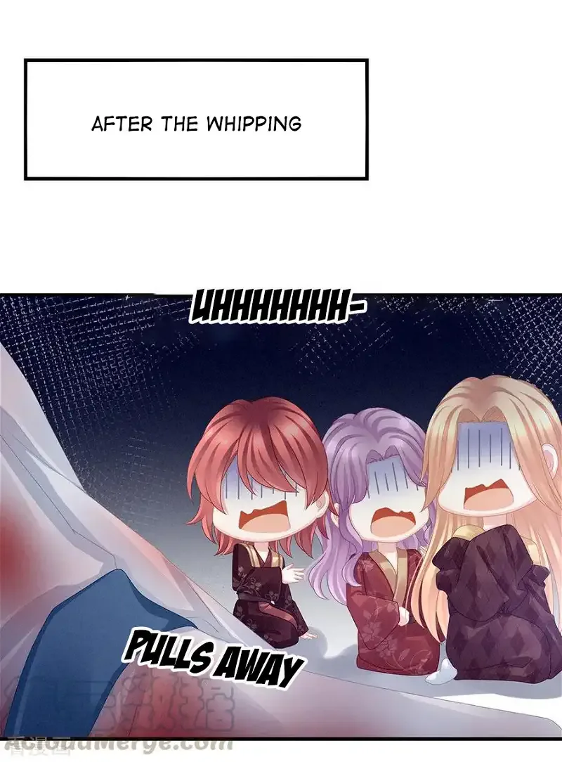 Empress's Harem Chapter 48 page 23