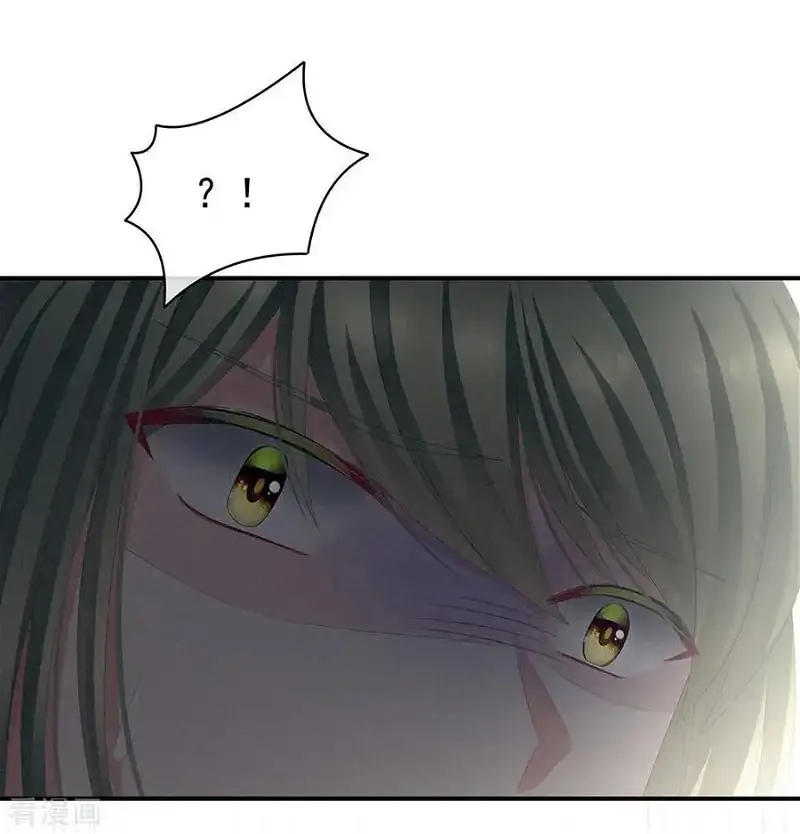 Empress's Harem Chapter 73 page 35
