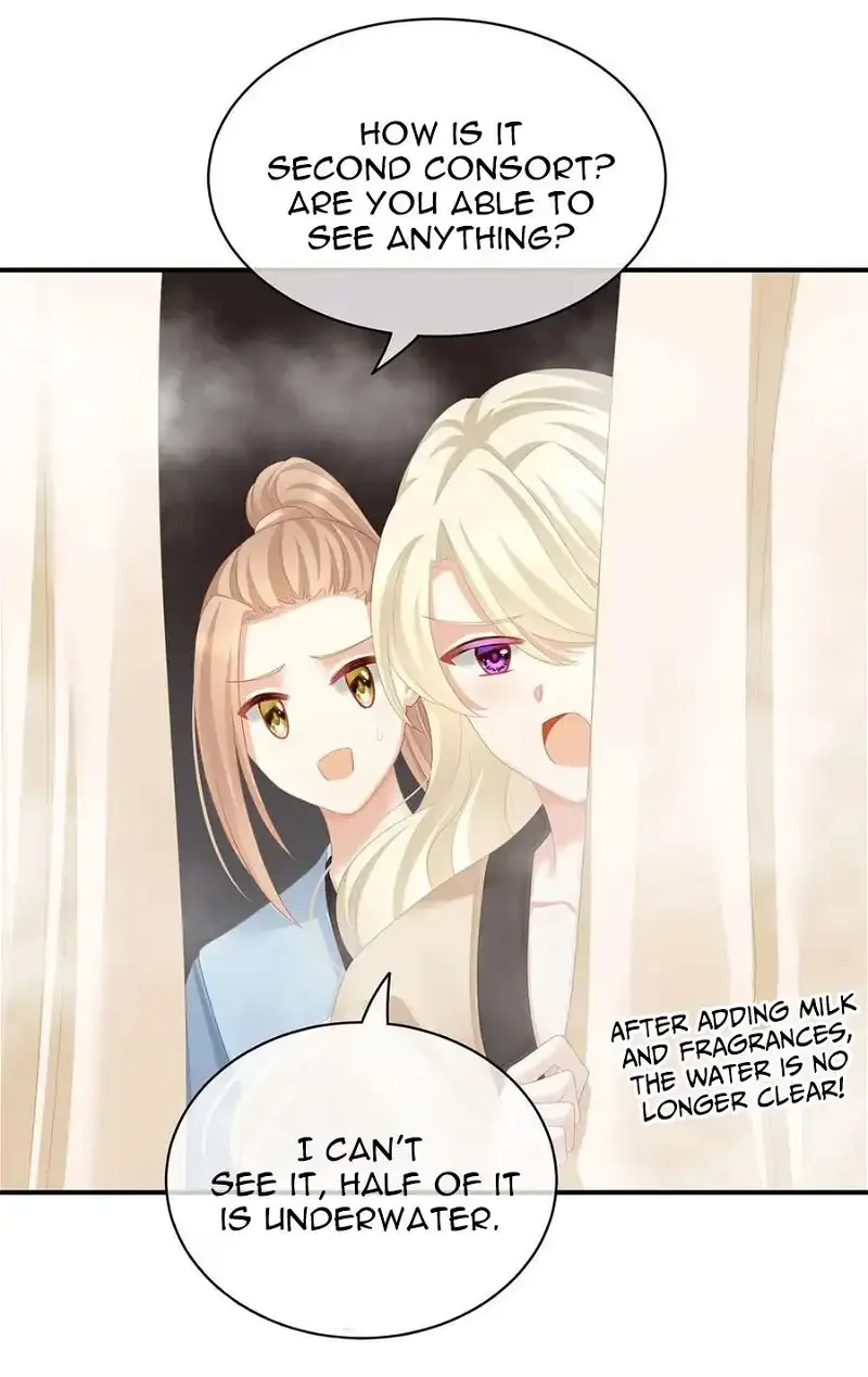 Empress's Harem Chapter 98 page 6