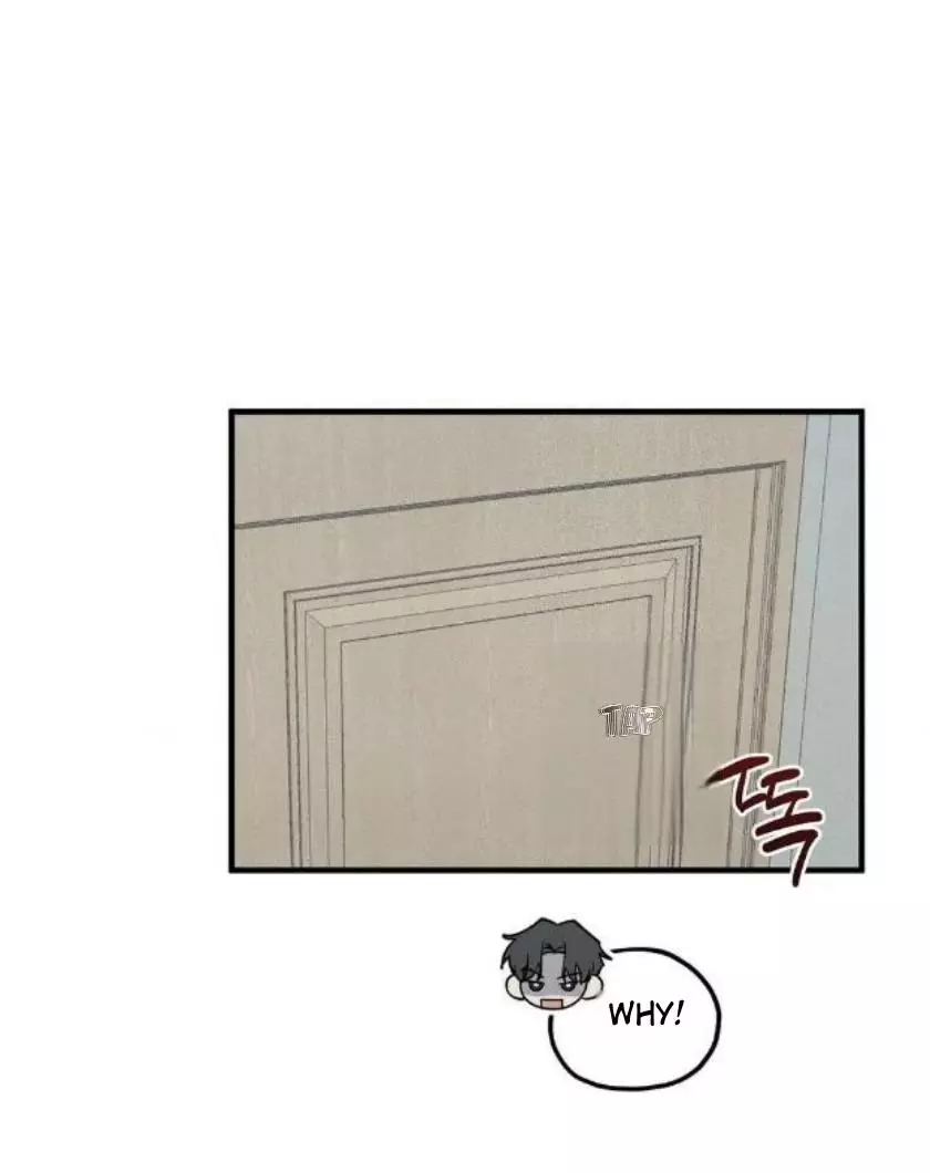 Error Detected Chapter 26 page 8