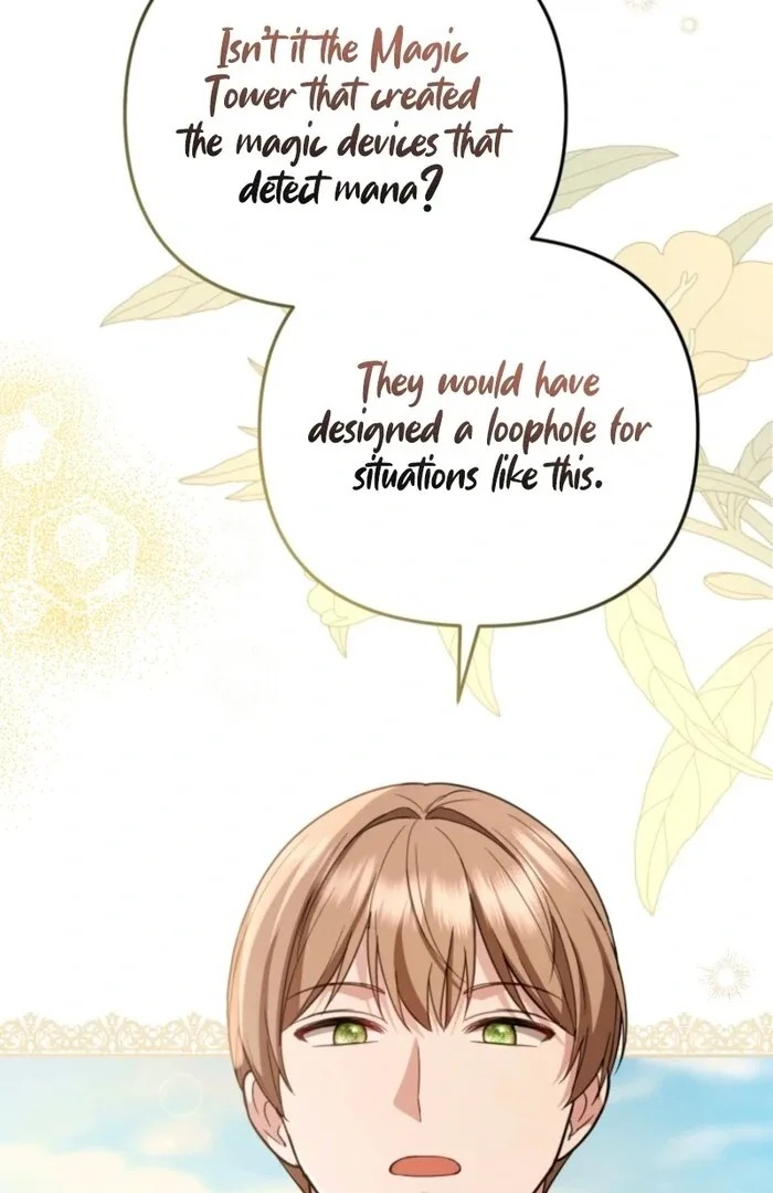 Even if I Hide My Power, the Noble Lady Is the Strongest Chapter 19 page 24