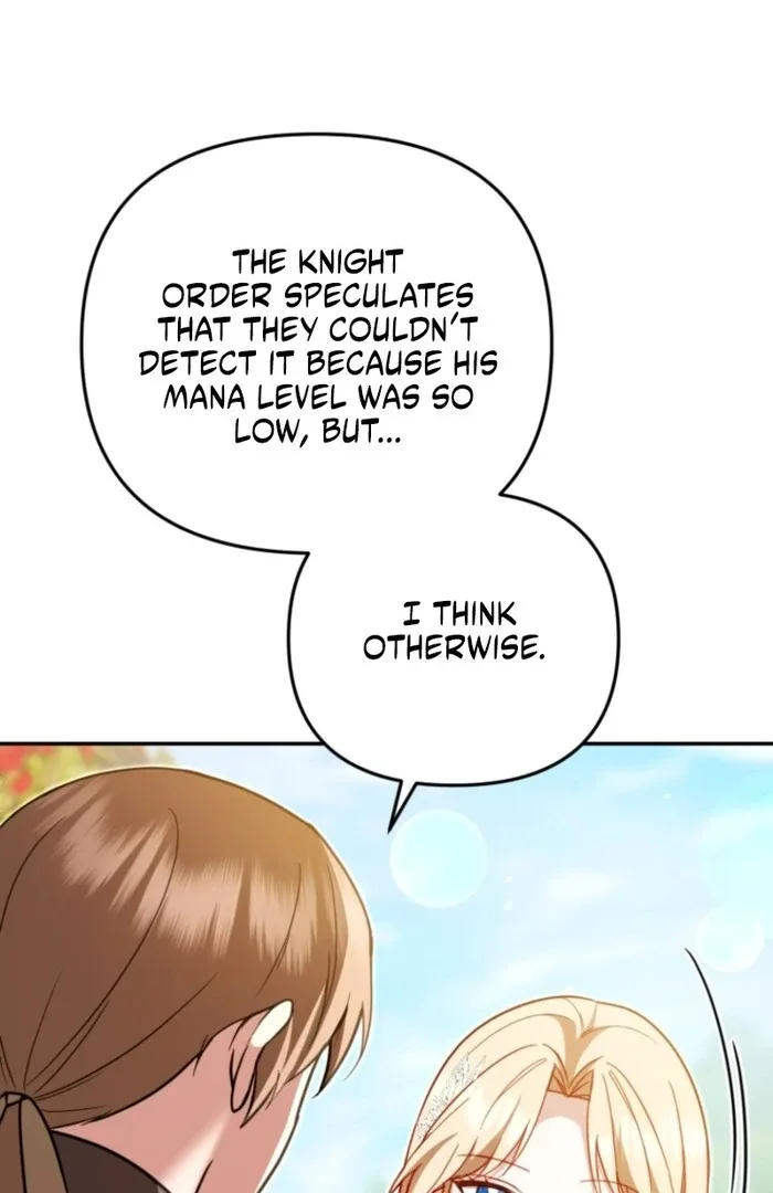 Even if I Hide My Power, the Noble Lady Is the Strongest Chapter 19 page 22