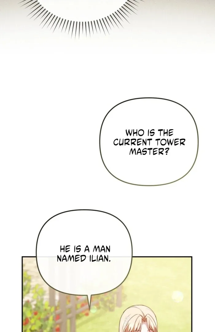 Even if I Hide My Power, the Noble Lady Is the Strongest Chapter 19 page 40