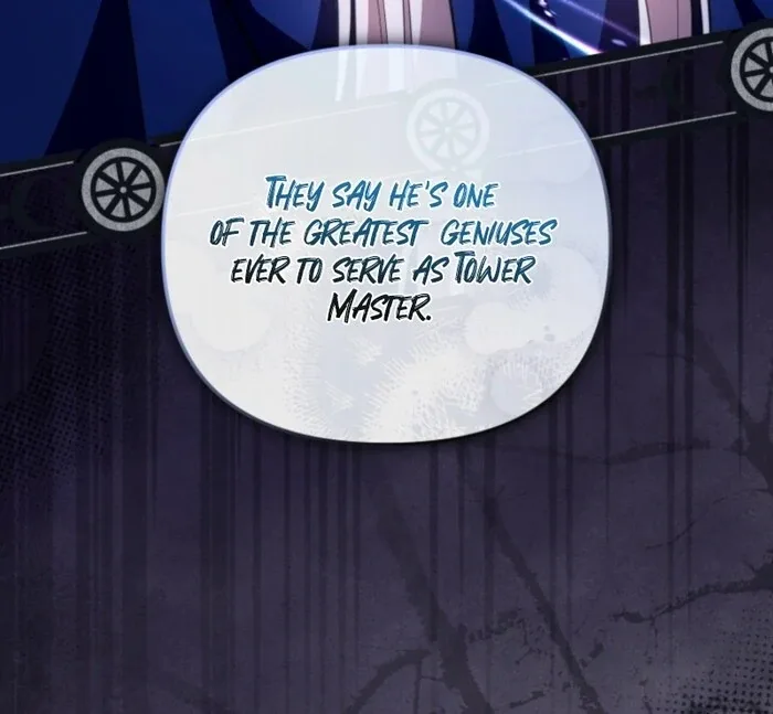 Even if I Hide My Power, the Noble Lady Is the Strongest Chapter 19 page 45