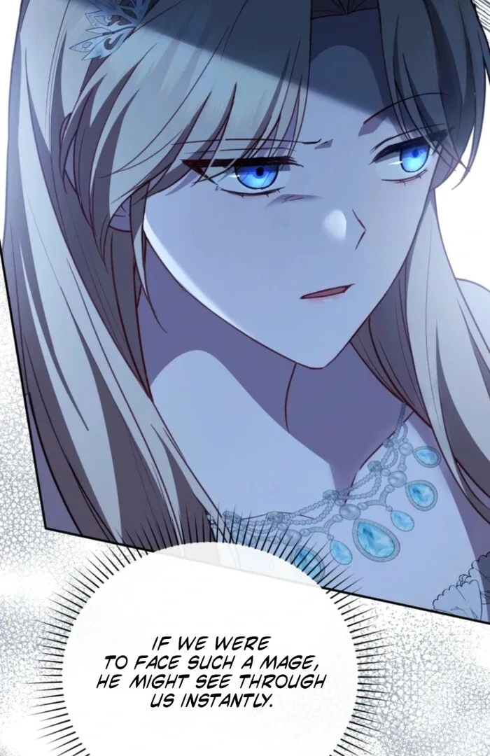 Even if I Hide My Power, the Noble Lady Is the Strongest Chapter 19 page 47