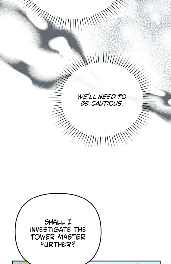 Even if I Hide My Power, the Noble Lady Is the Strongest Chapter 19 page 48