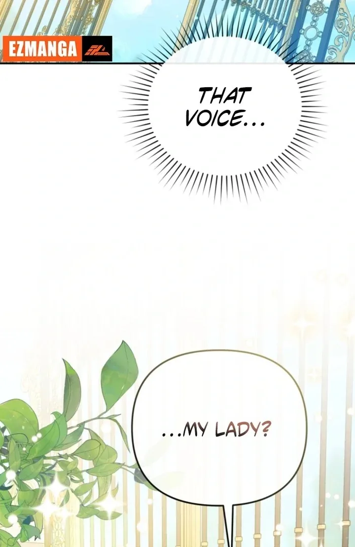 Even if I Hide My Power, the Noble Lady Is the Strongest Chapter 19 page 79