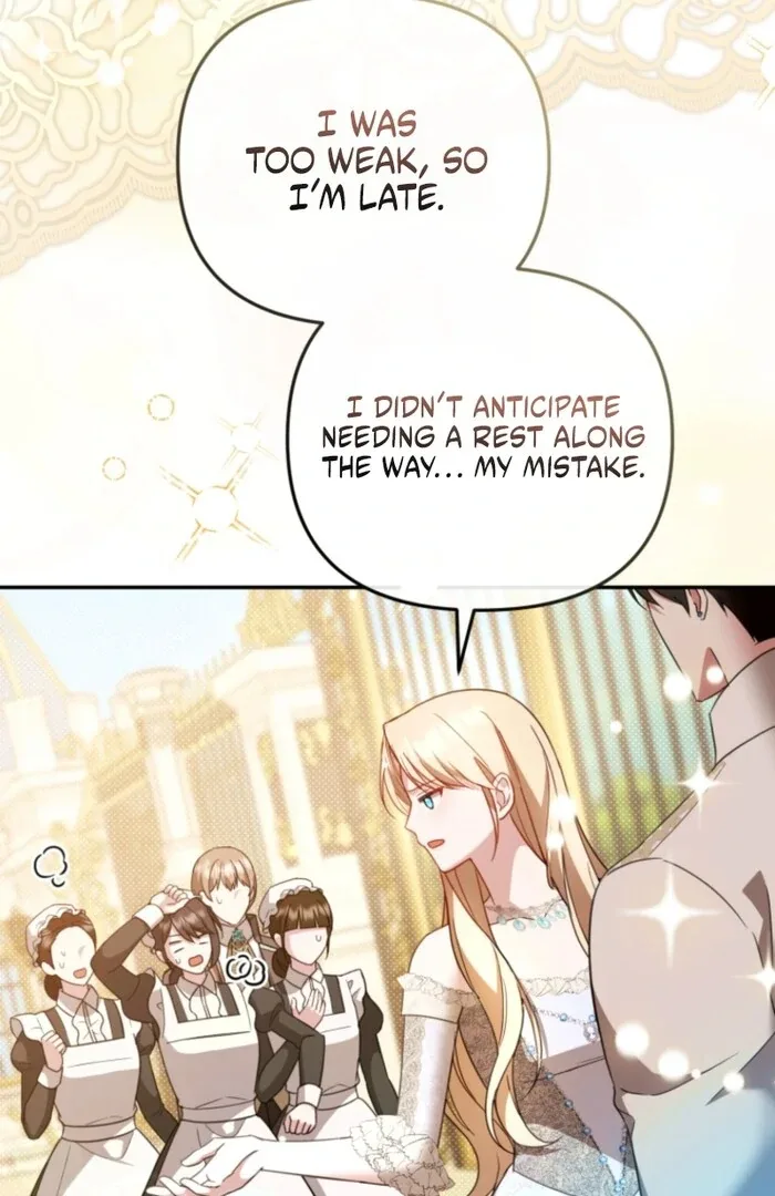 Even if I Hide My Power, the Noble Lady Is the Strongest Chapter 19 page 82