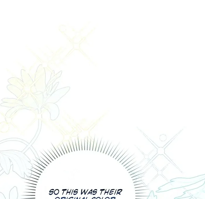 Even if I Hide My Power, the Noble Lady Is the Strongest Chapter 20 page 18