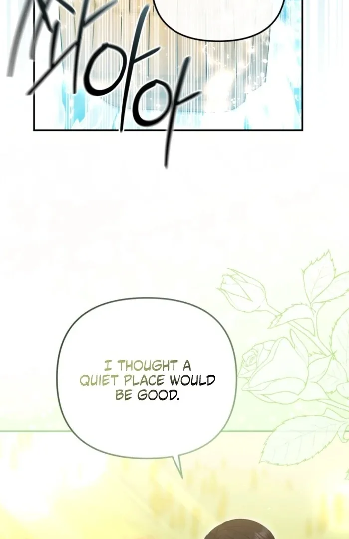 Even if I Hide My Power, the Noble Lady Is the Strongest Chapter 20 page 27