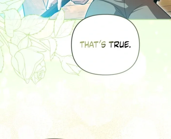 Even if I Hide My Power, the Noble Lady Is the Strongest Chapter 20 page 29