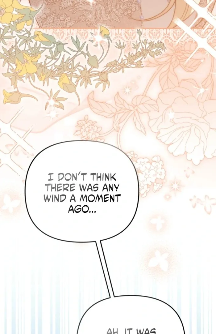 Even if I Hide My Power, the Noble Lady Is the Strongest Chapter 20 page 25